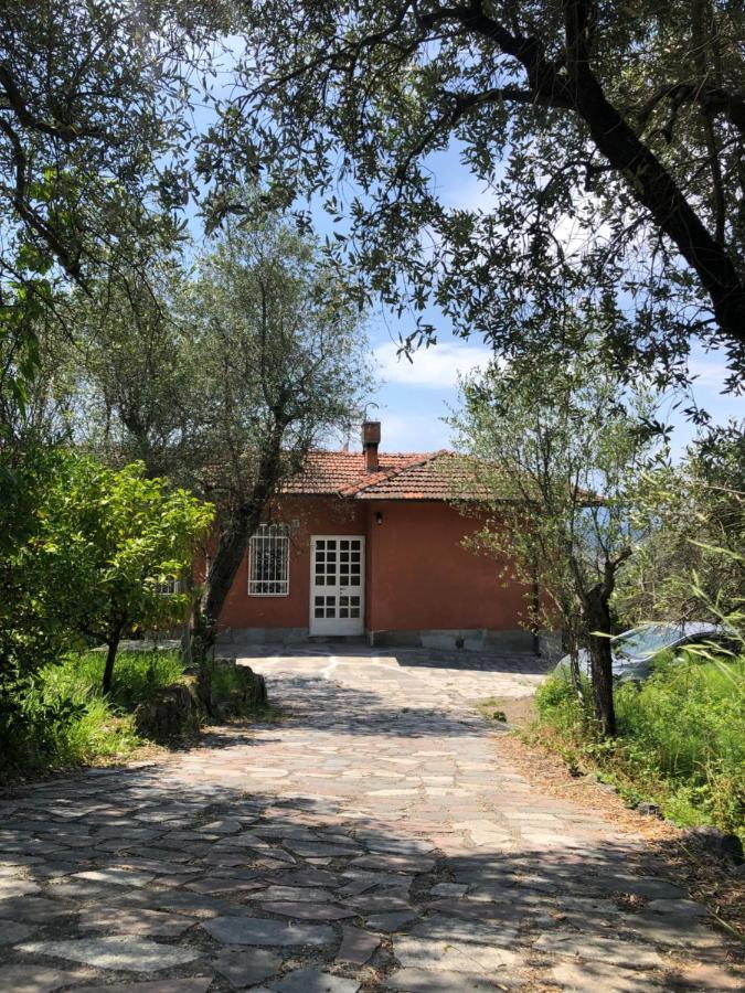 Casa Alma Apartman Castelnuovo Magra Kültér fotó