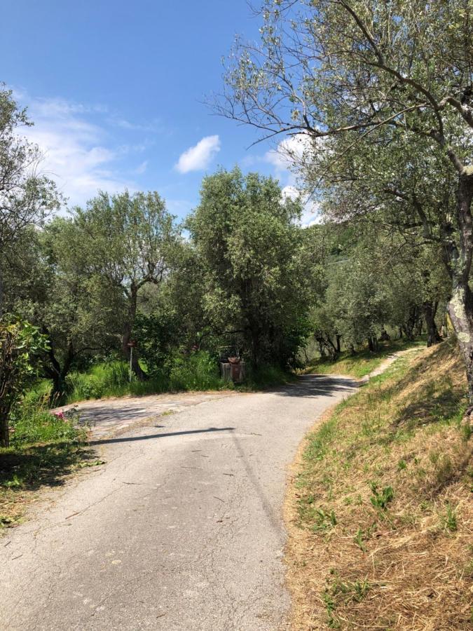 Casa Alma Apartman Castelnuovo Magra Kültér fotó